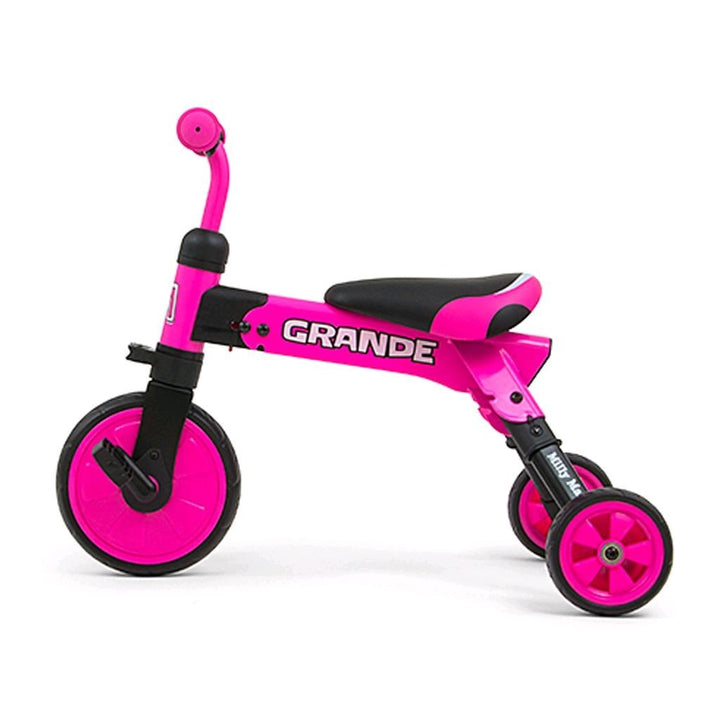 Kinderdriewieler 2-in-1 Milly Mally Grande roze