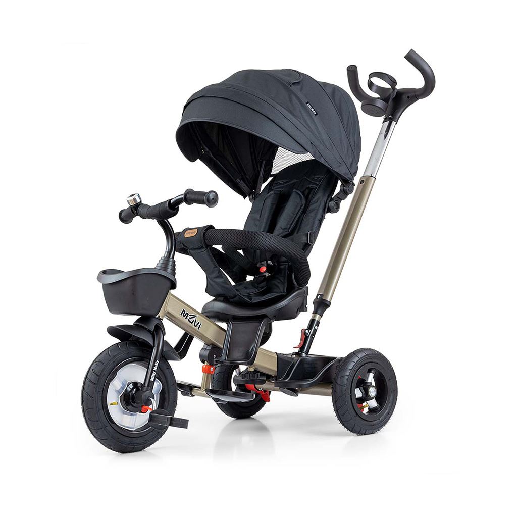 Kinderdriewieler Milly Mally Movi goud