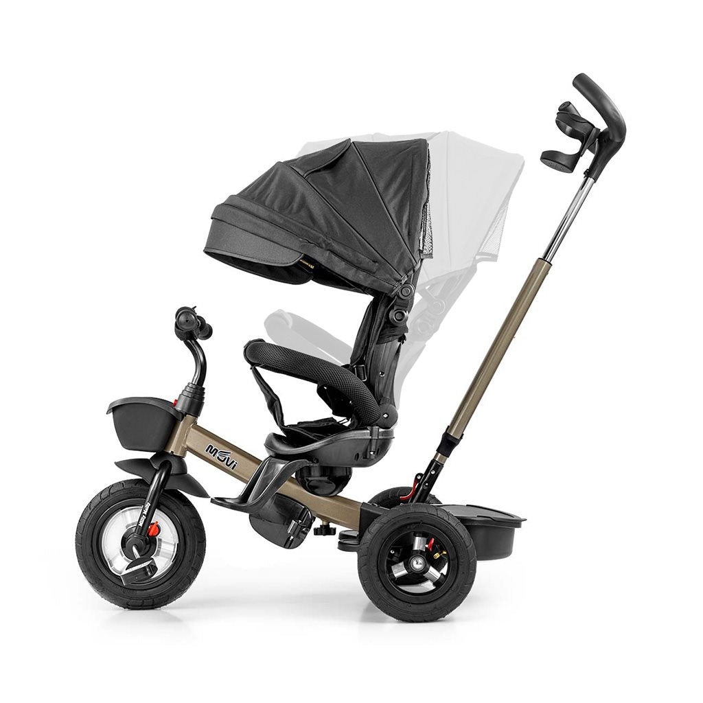 Kinderdriewieler Milly Mally Movi goud