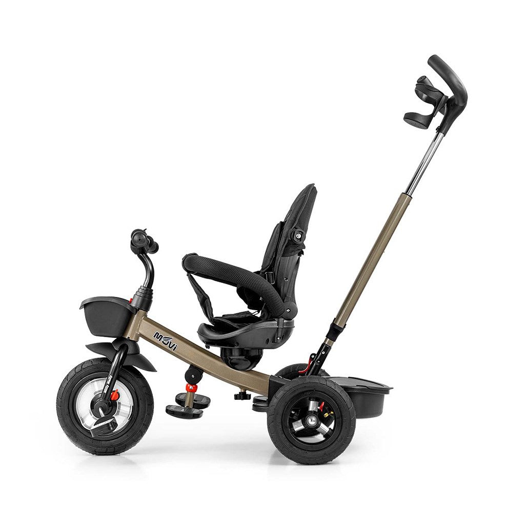 Kinderdriewieler Milly Mally Movi goud